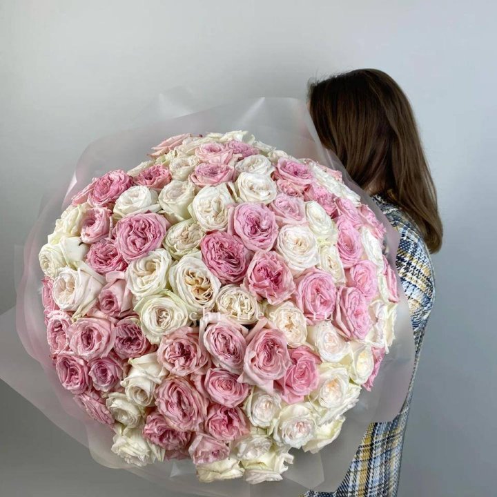 101 роз Охара в Сургуте