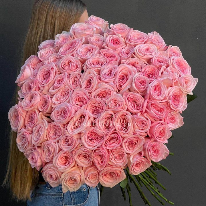 75 роз Охара в Сургуте