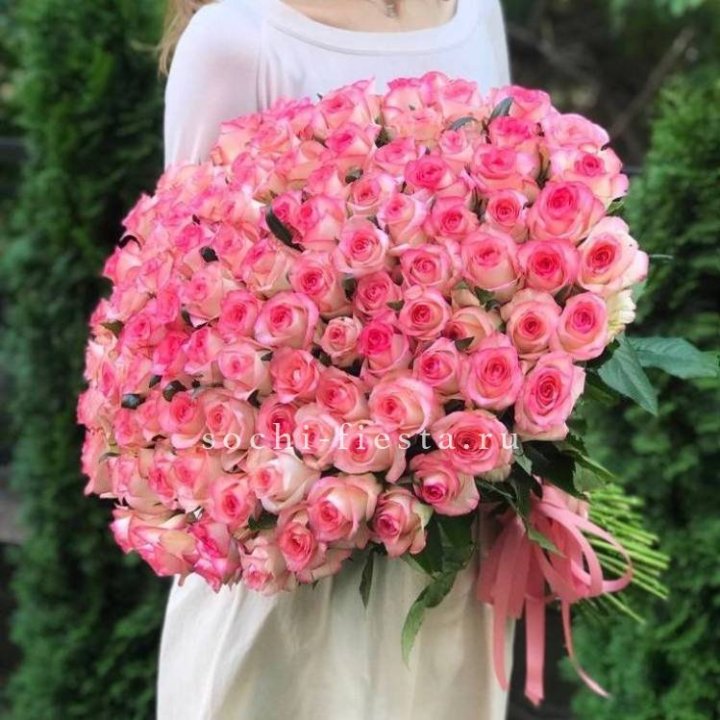 101  джумилия роза  в Сургуте