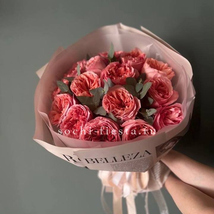 15 Пинк экспрешен в Сургуте