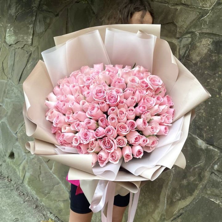 101 нежно-розовая роза Каролина  в Сургуте