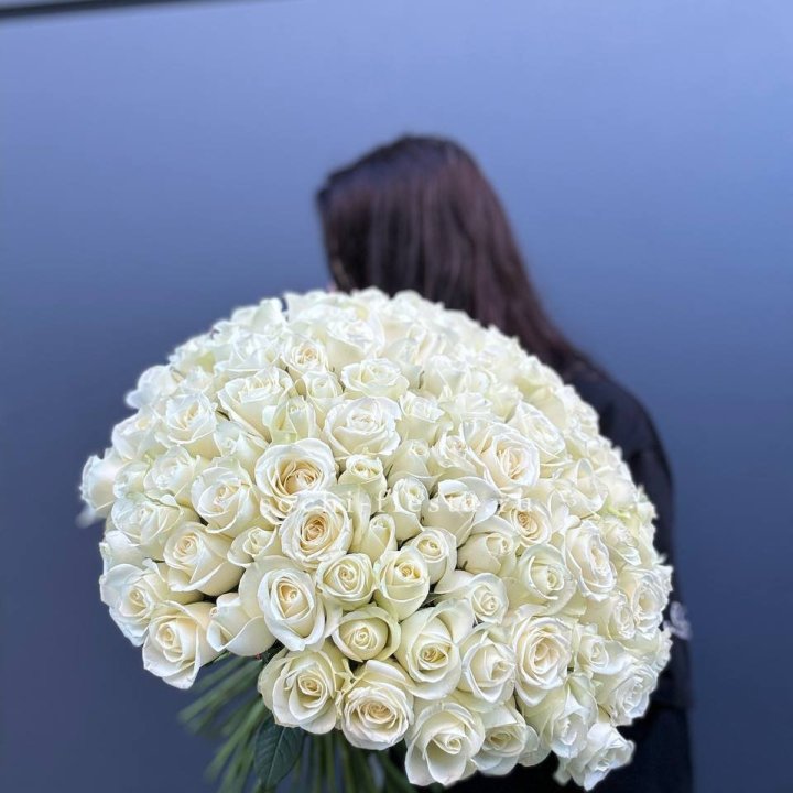 Охапка из 101 белой розы  в Сургуте