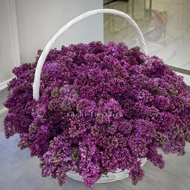 Корзина сирени в Сургуте