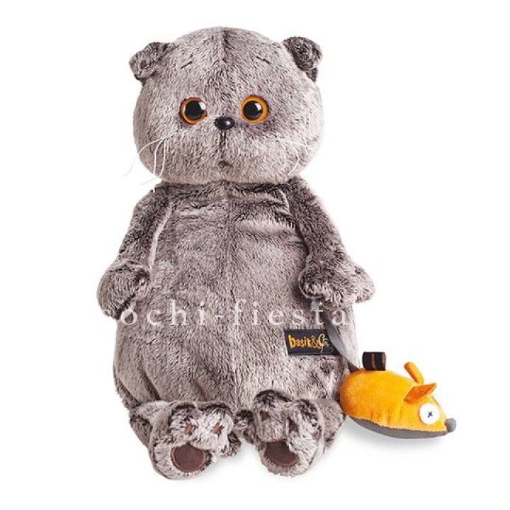 Кот Басик с мышкой в Сургуте