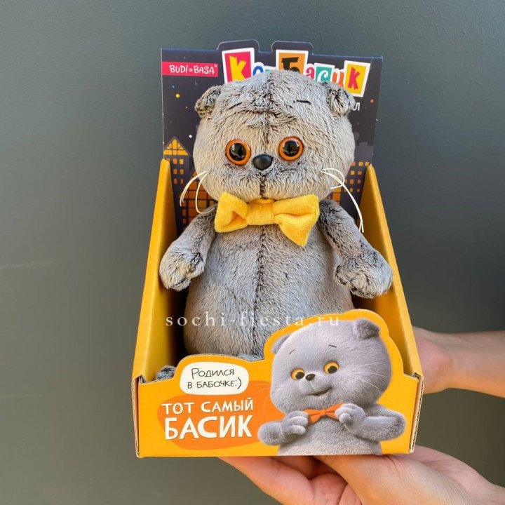 Кот Басик с бабочкой в Сургуте