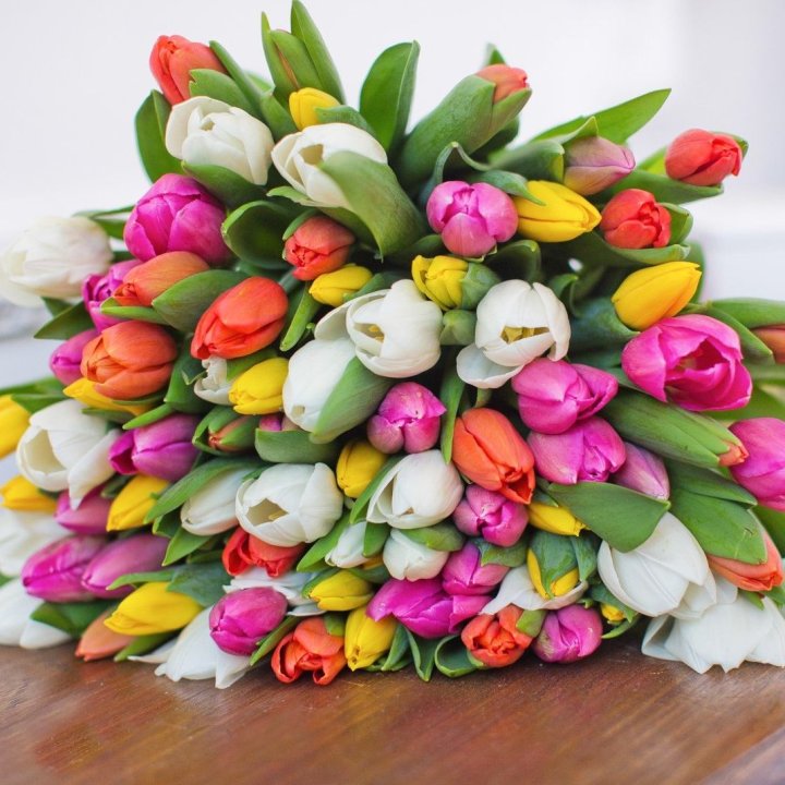 79 тюльпанов "Рандом" в Сургуте