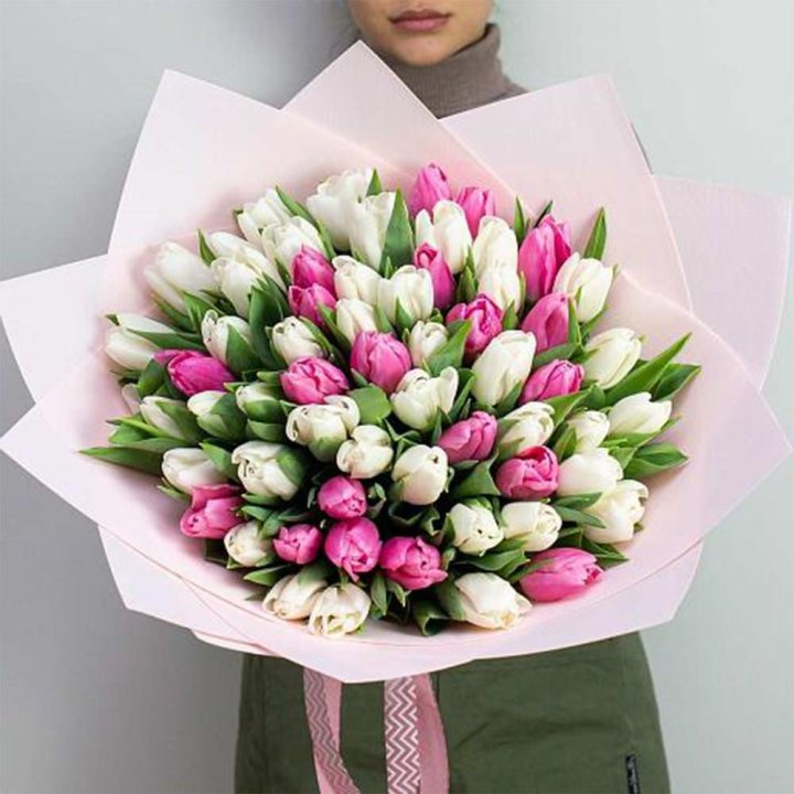 61 бело-розовый тюльпан в Сургуте