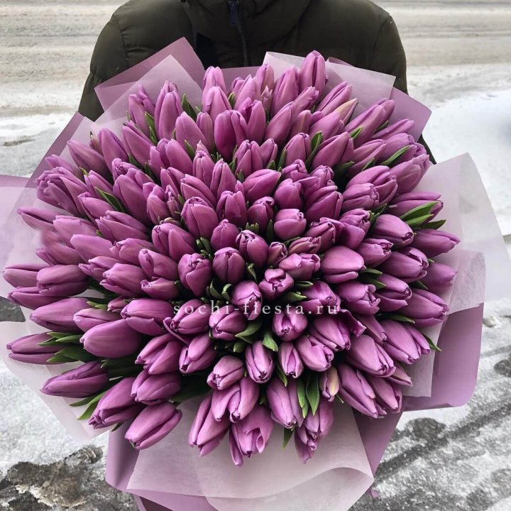 101 сиреневый тюльпан в Сургуте