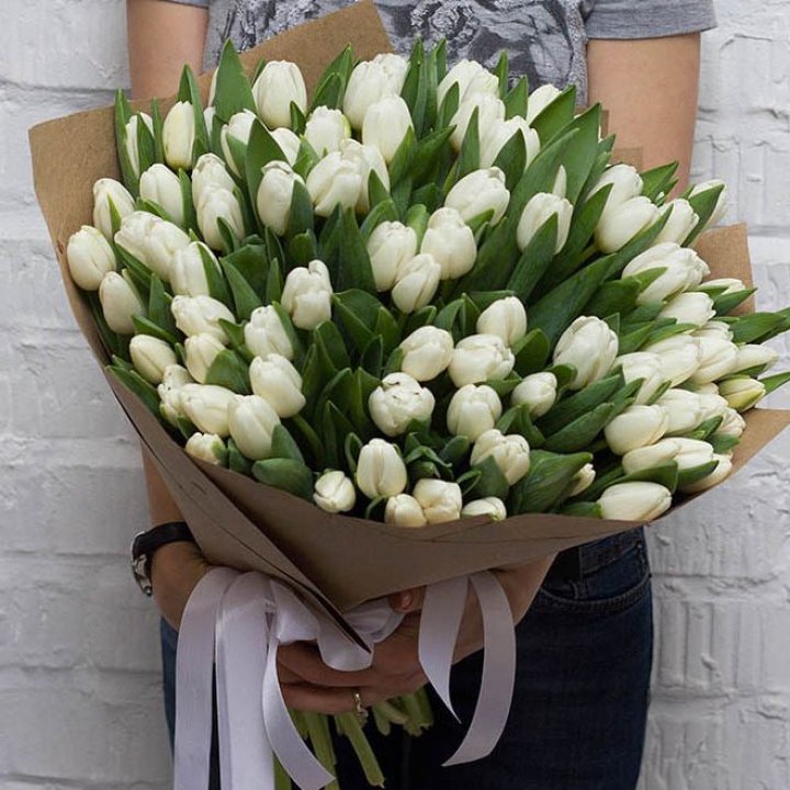 101 тюльпан сноу в Сургуте