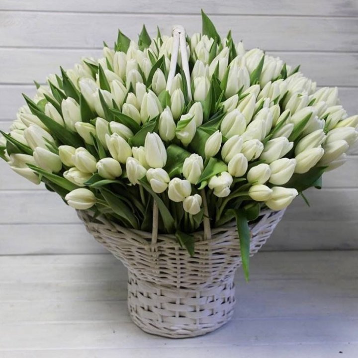 Корзина из 151 тюльпана в Сургуте