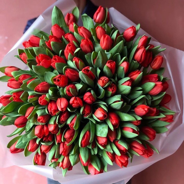 101 красный тюльпан в Сургуте
